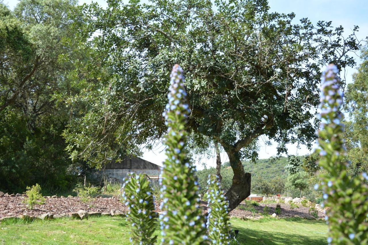 Quinta Do Freixo Βίλα Benafim Εξωτερικό φωτογραφία